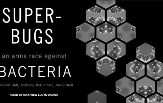 Superbugs: An Arms Race against Bacteria