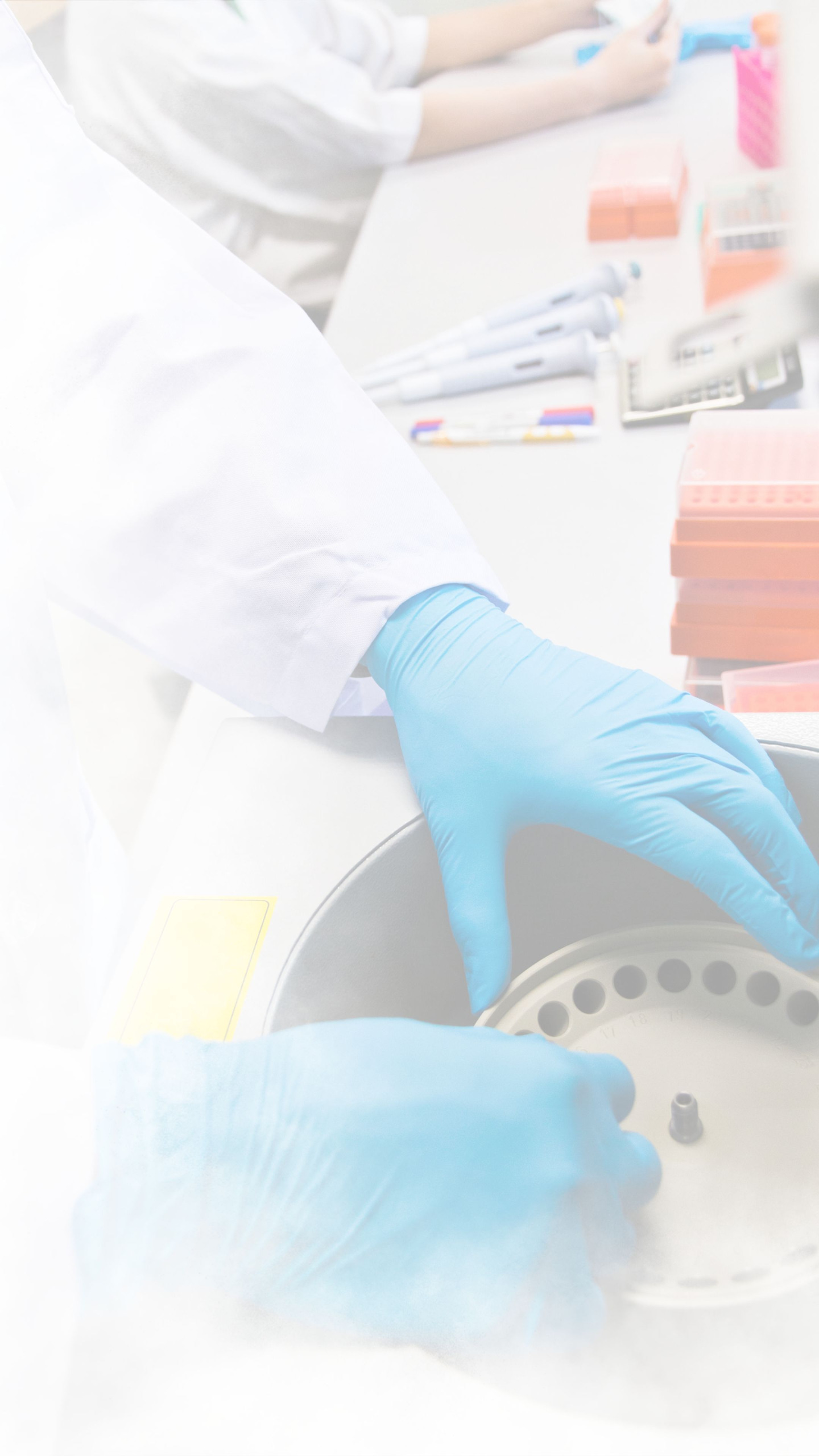 The World Is Running Out Of Antibiotics, WHO Report Confirms