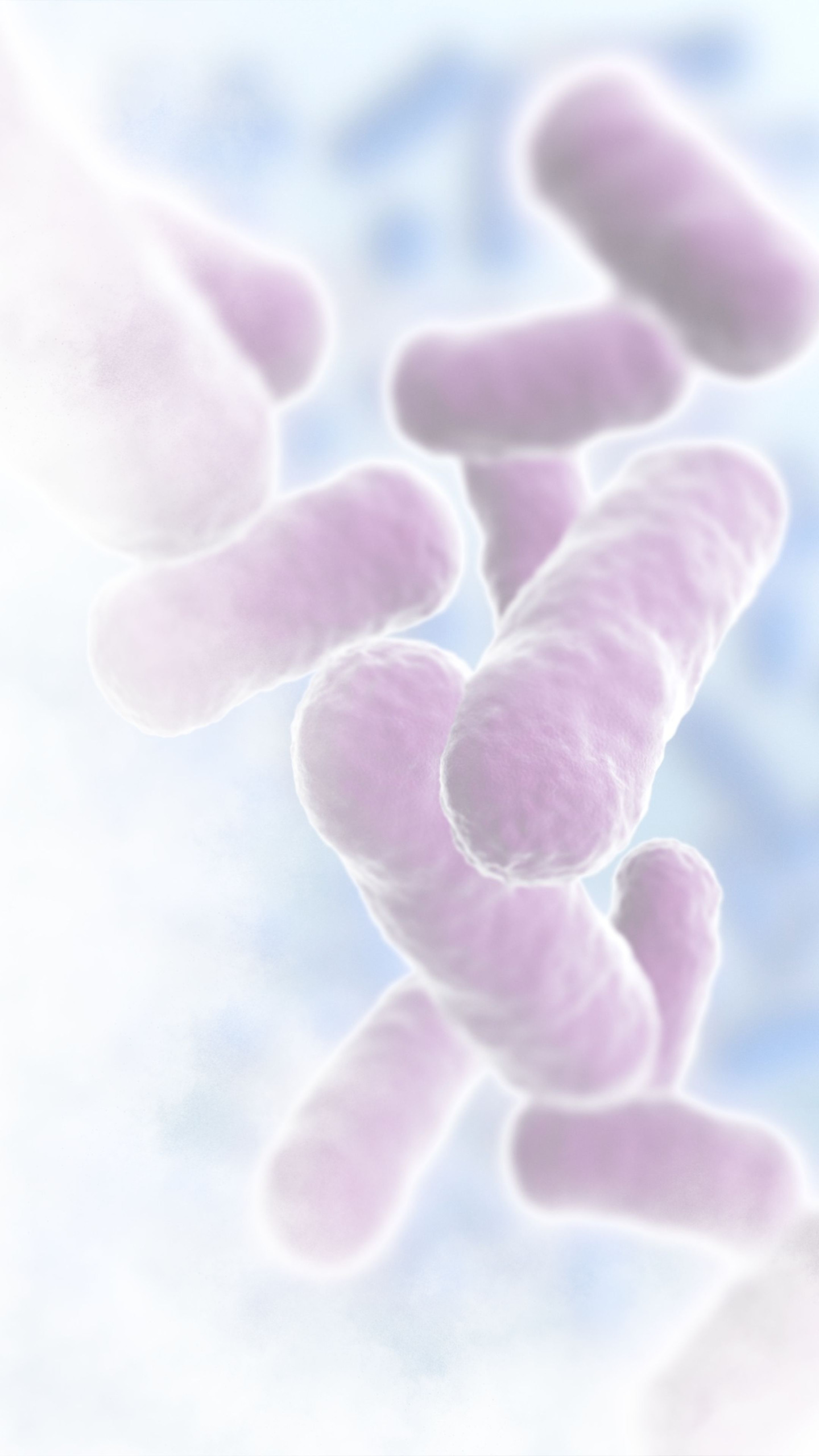 The rise of superbugs: Facing the antibiotic resistance crisis The rise of superbugs: Facing the antibiotic resistance crisis