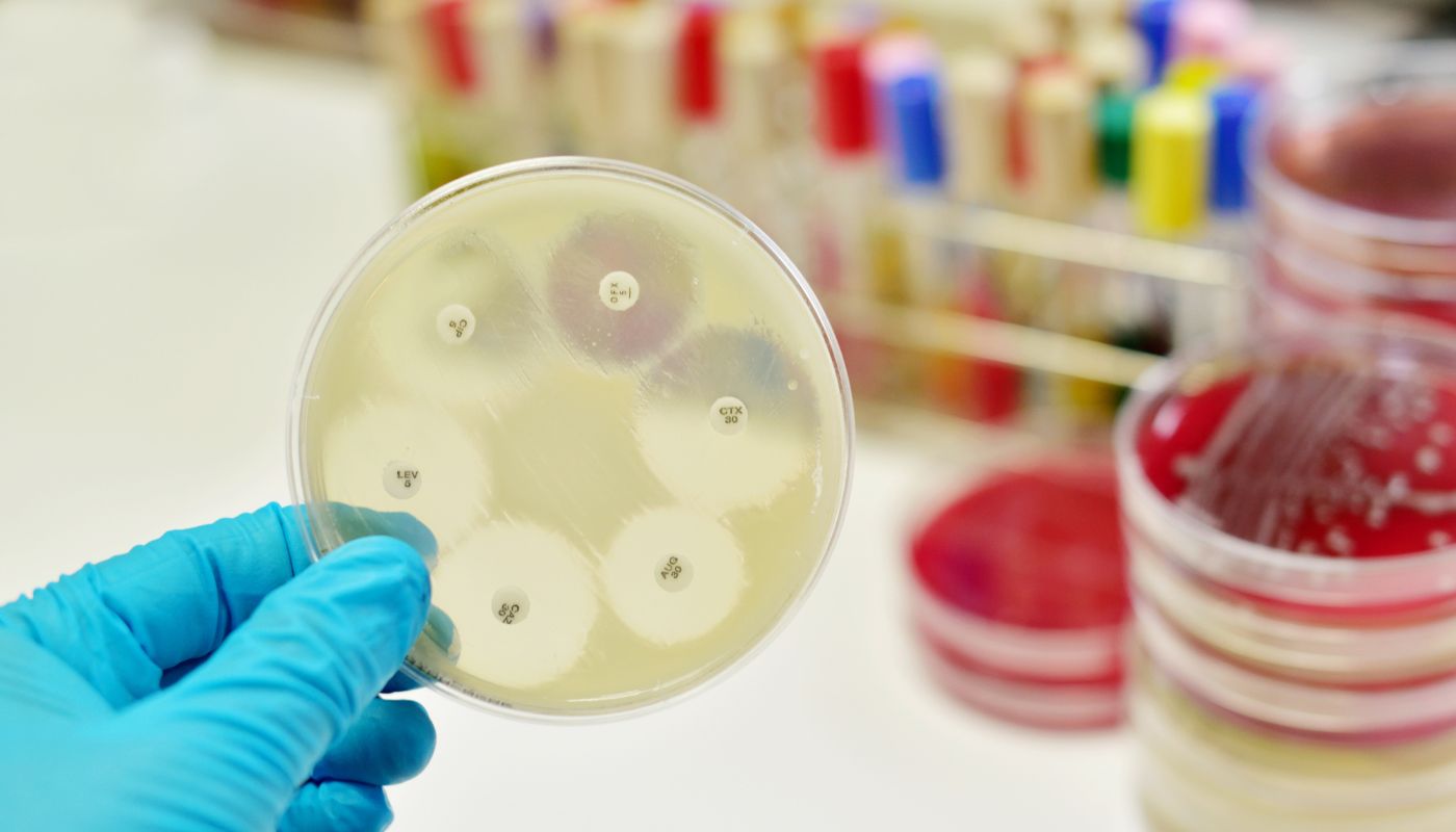 Natureza Research’s Novelty of Formulations