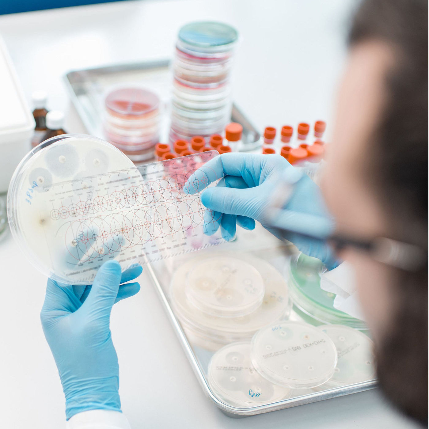 Natureza Research Submitted for Publication in a Peer-Reviewed Journal Sep 2 2022